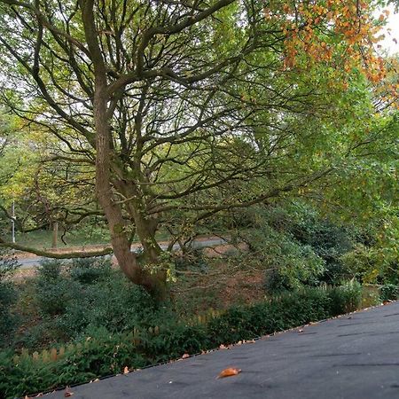 Luxury Coach House Next To Woodland In Knutsford Villa Eksteriør billede