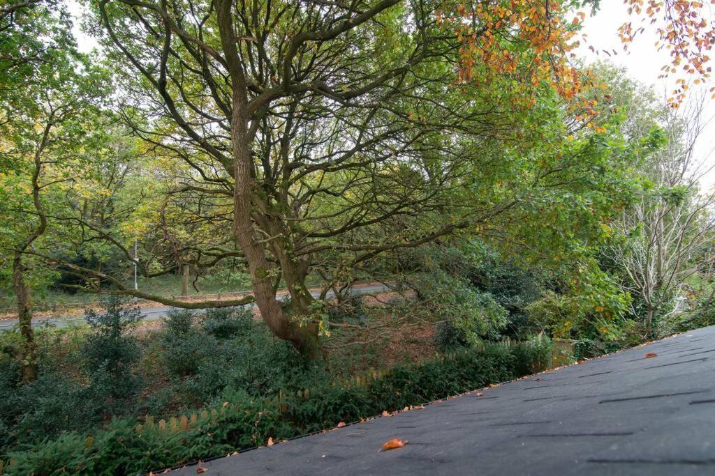 Luxury Coach House Next To Woodland In Knutsford Villa Eksteriør billede